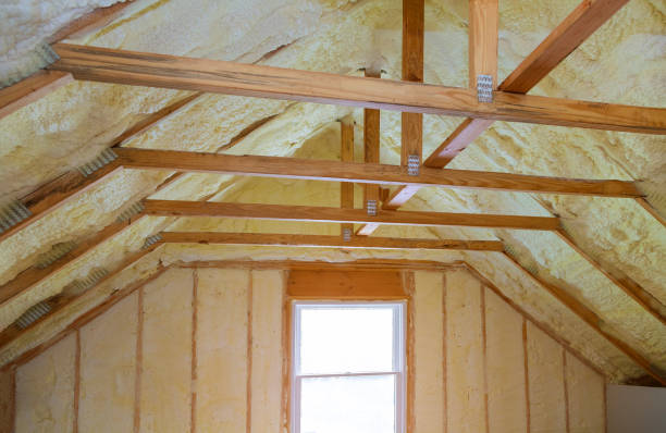 Best Cellulose Insulation  in Sandy Springs, SC