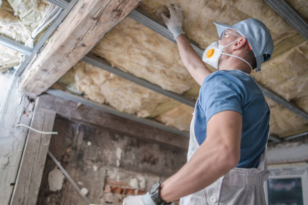 Attic Insulation Near Me in Sandy Springs, SC