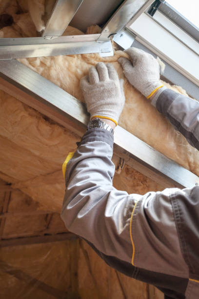 Best Insulation Replacement Services  in Sandy Springs, SC