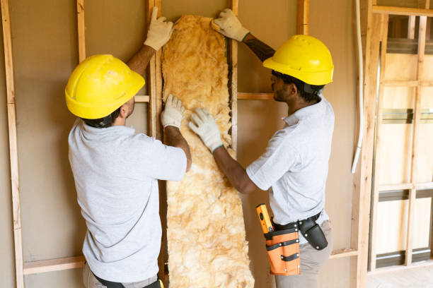Best Insulation for Commercial Buildings  in Sandy Springs, SC
