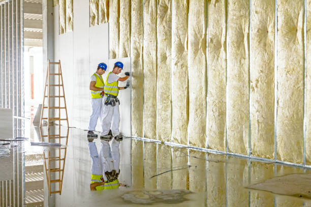 Best Insulation Repair Services  in Sandy Springs, SC